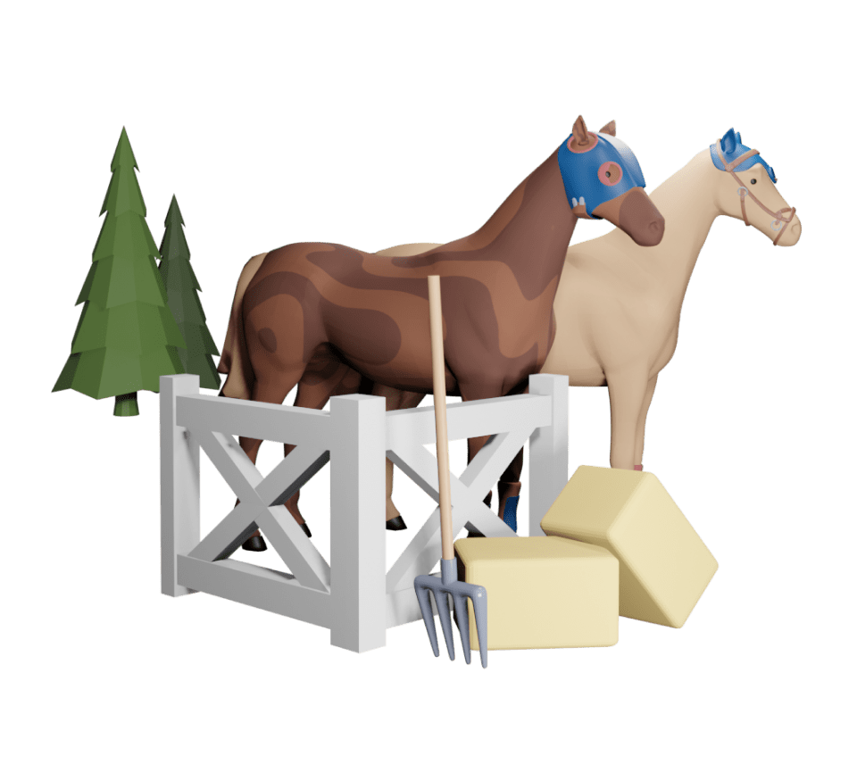 zkRace NFT racing horses