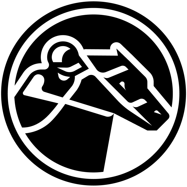 zkRace logomark with border