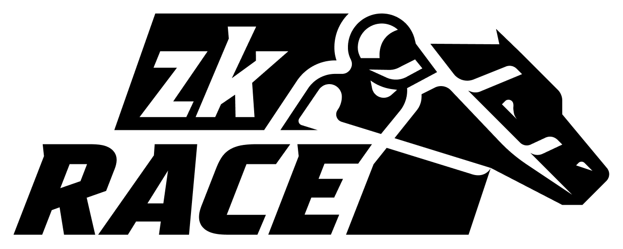 zkRace logo